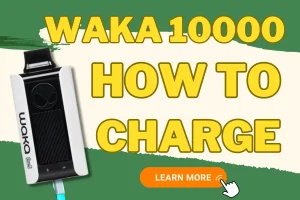 How To Recharge WAKA soPro PA10000