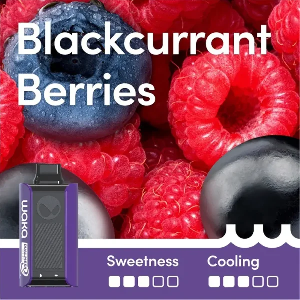 Blackcurrant Berries RELX WAKA soPro PA10000 Puffs