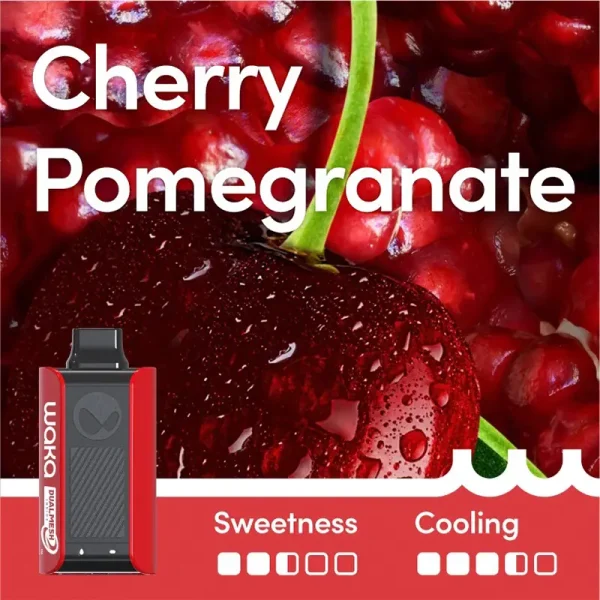 Cherry Pomegranate – RELX WAKA soPro PA10000 Puffs