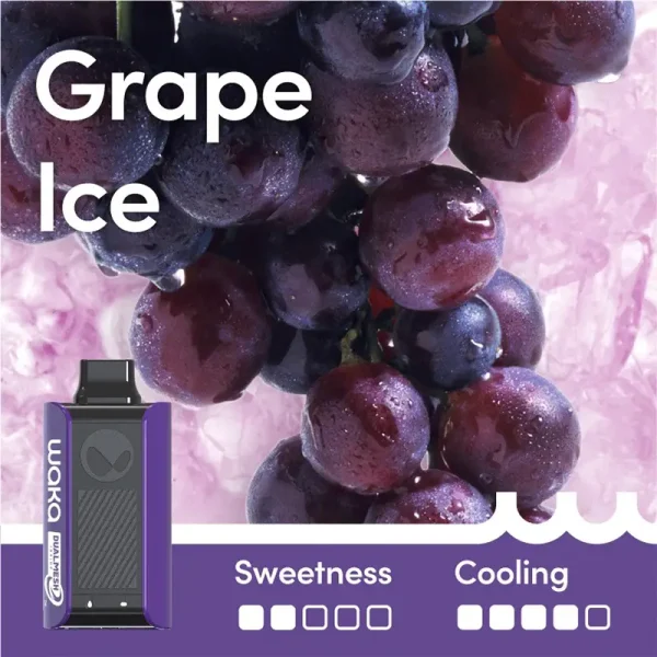 Grape Ice RELX WAKA soPro PA10000 Puffs